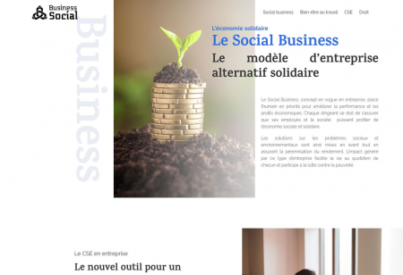 http://www.business-social.fr